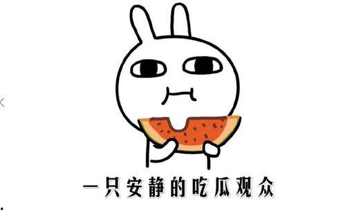 我喜欢吃瓜是啥意思